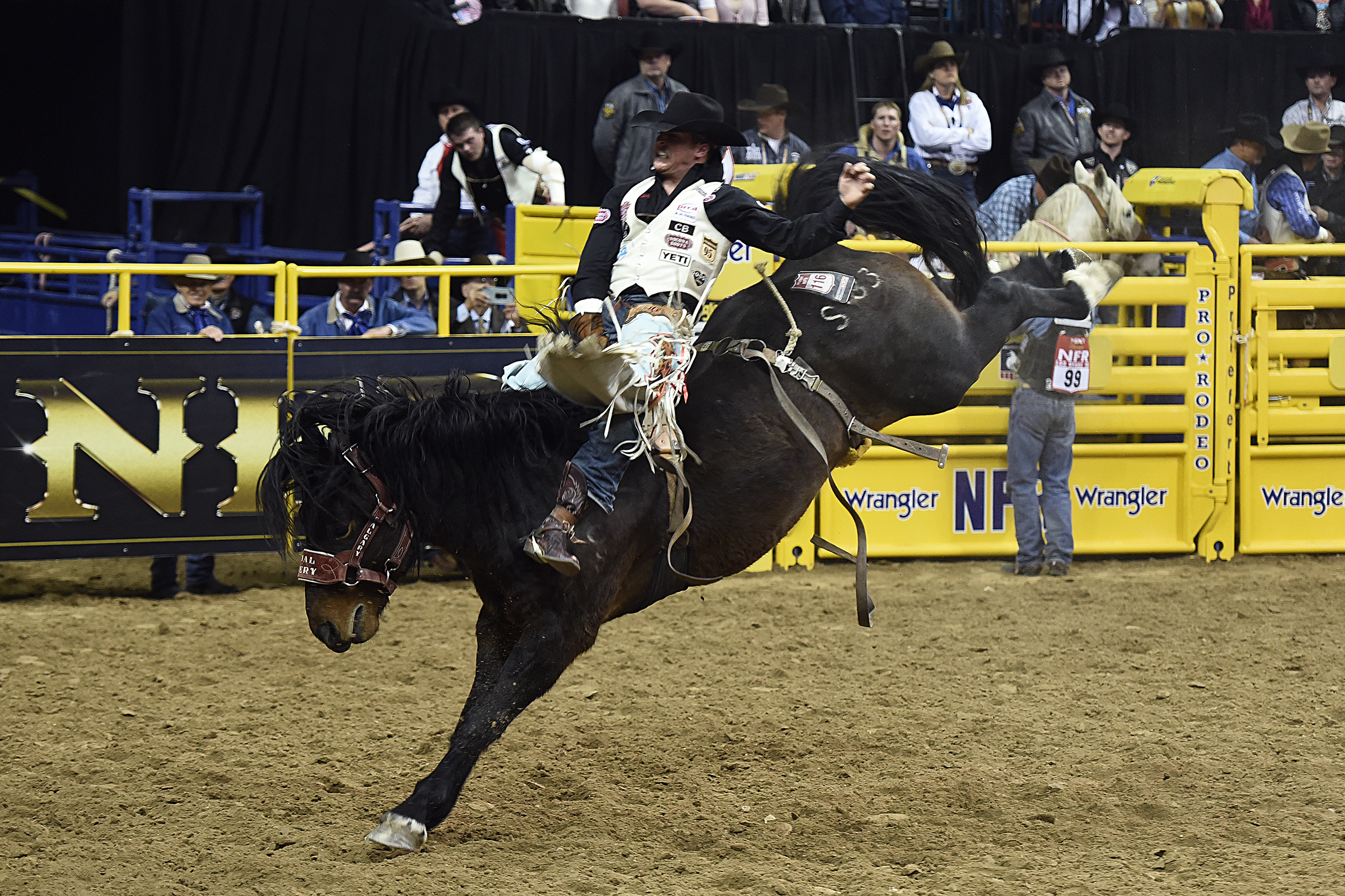 Richmond Champion rides Calgary Stampede's Special Delivery during Saturday's third round at the National Finals Rodeo for 83.5 points to place for the first time at this year's championship. (PHOTO BY ROBBY FREEMAN)