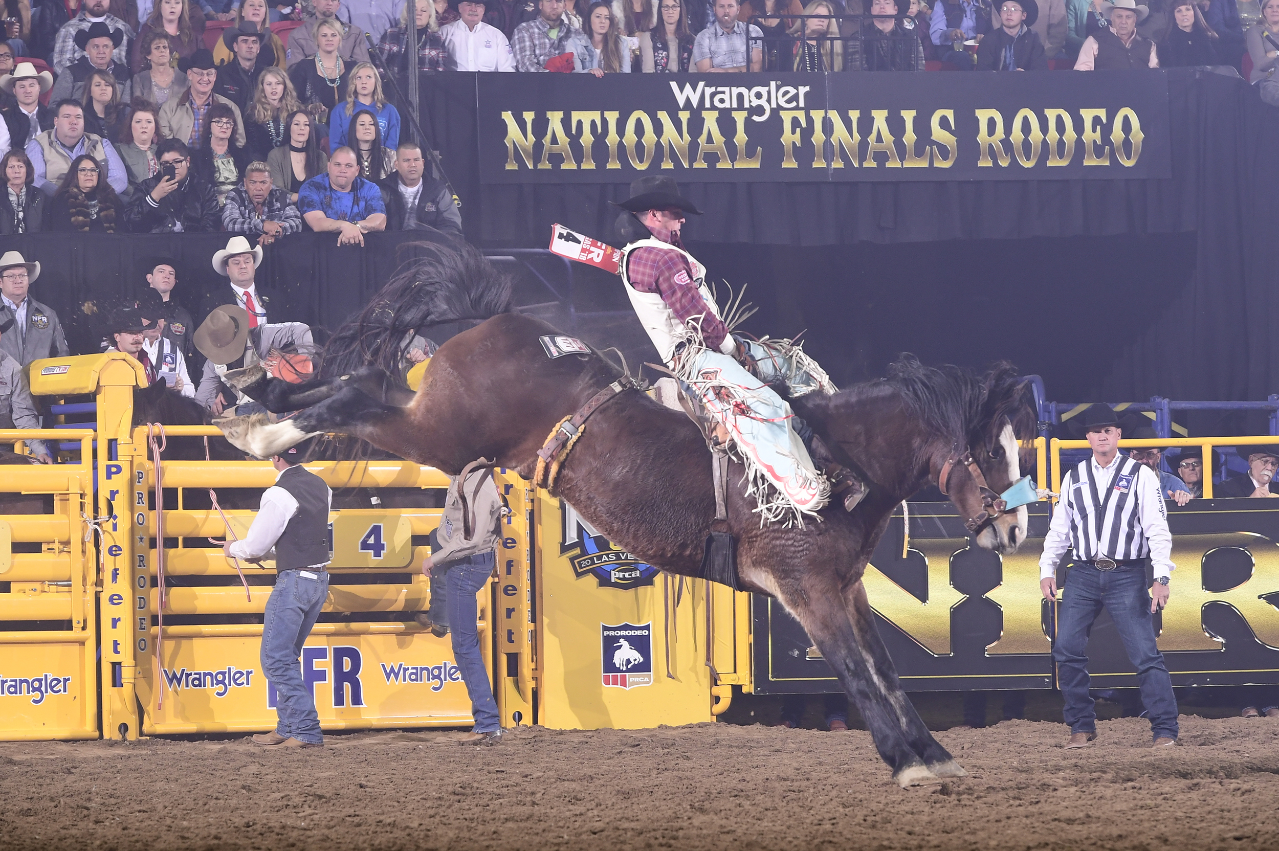 Richmond Champion finishes off the National Finals Rodeo by riding Pickett Pro Rodeo's Faded Night for 88.5 points to finish in a tie for second place in the 10th round. (PRCA PRORODEO PHOTO BY JAMES PHIFER)
