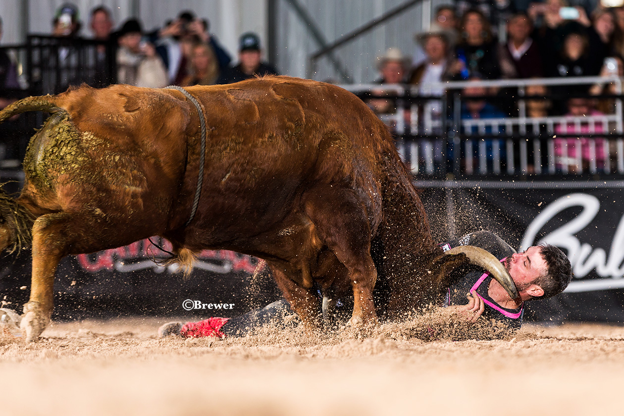 Manuel Costa's Sid Vicious gets the better of Toby Inman during their bout in Las Vegas. Sid Vicious is the two-time Bullfighters Only Bull of the Year, and Costa is the 2018 Stock Contractor of the Year. (PHOTO BY TODD BREWER)