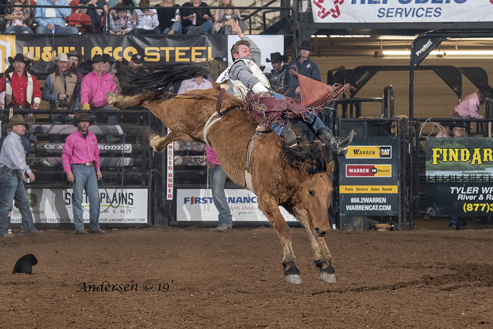 South Point Gambler is a ranch-raised Pete Carr Pro Rodeo bucking horse that is the next generation making a way to the National Finals Rodeo. Gambler is one of dozens of Carr animals that have been to the NFR. (PHOTO BY RIC ANDERSEN)