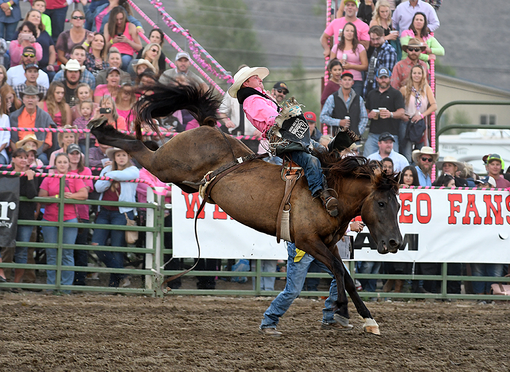 Craig Wisehart won the bareback riding title at Cattlemen’s Days in Gunnison, Colorado, a year ago. By posting the highest-marked ride on the rodeo’s pink night, he also collected a bonus. (PHOTO BY ROBBY FREEMAN)