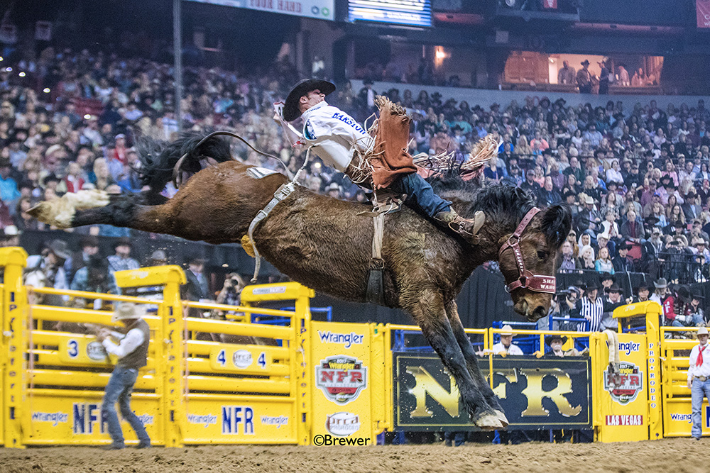 Mason Clements rides Calgary Stampede's Shadow Warrior during the 2017 National Finals Rodeo. Clements was off to a hot start, winning both San Antonio and Denver, but the season is on hold due to the COVID-19 coronavirus pandemic. Still, he's found the silver lining. (PHOTO BY TODD BREWER)