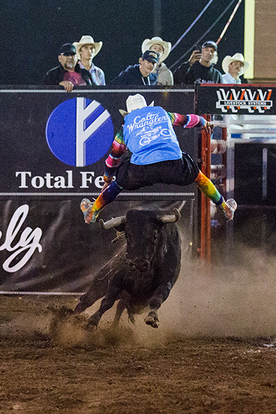 Colt Oder makes a jump over his bull Friday during the Bullfighters Only stop in Fortuna, Calif. (PHOTO BY CAROL LINES)