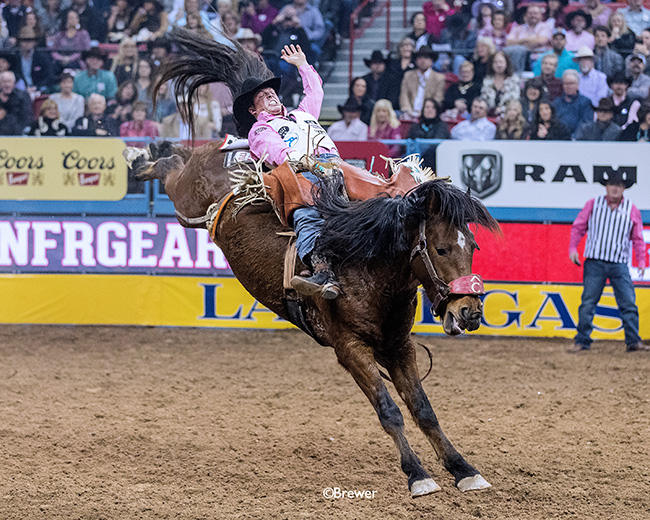 Richmond Champion will return to the National Finals Rodeo for the fourth time in his young career. He has had a terrific 2018 season, capitalized by his engagement to his fiance, Paige. (PHOTO BY TODD BREWER)