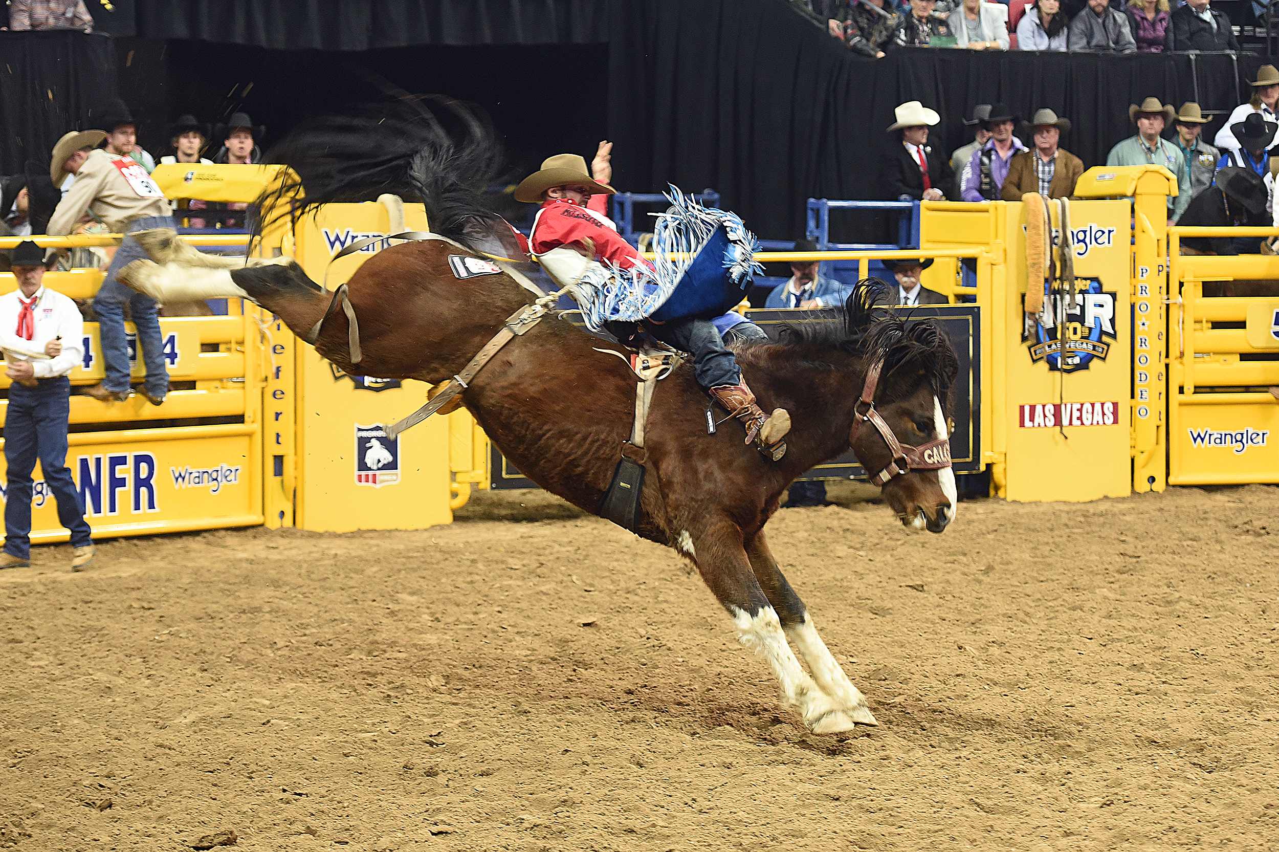 After just missing the National Finals Rodeo by finishing 16th in 2019, Mason Clements will return to the NFR for the third time in his career. (PHOTO BY ROBBY FREEMAN)