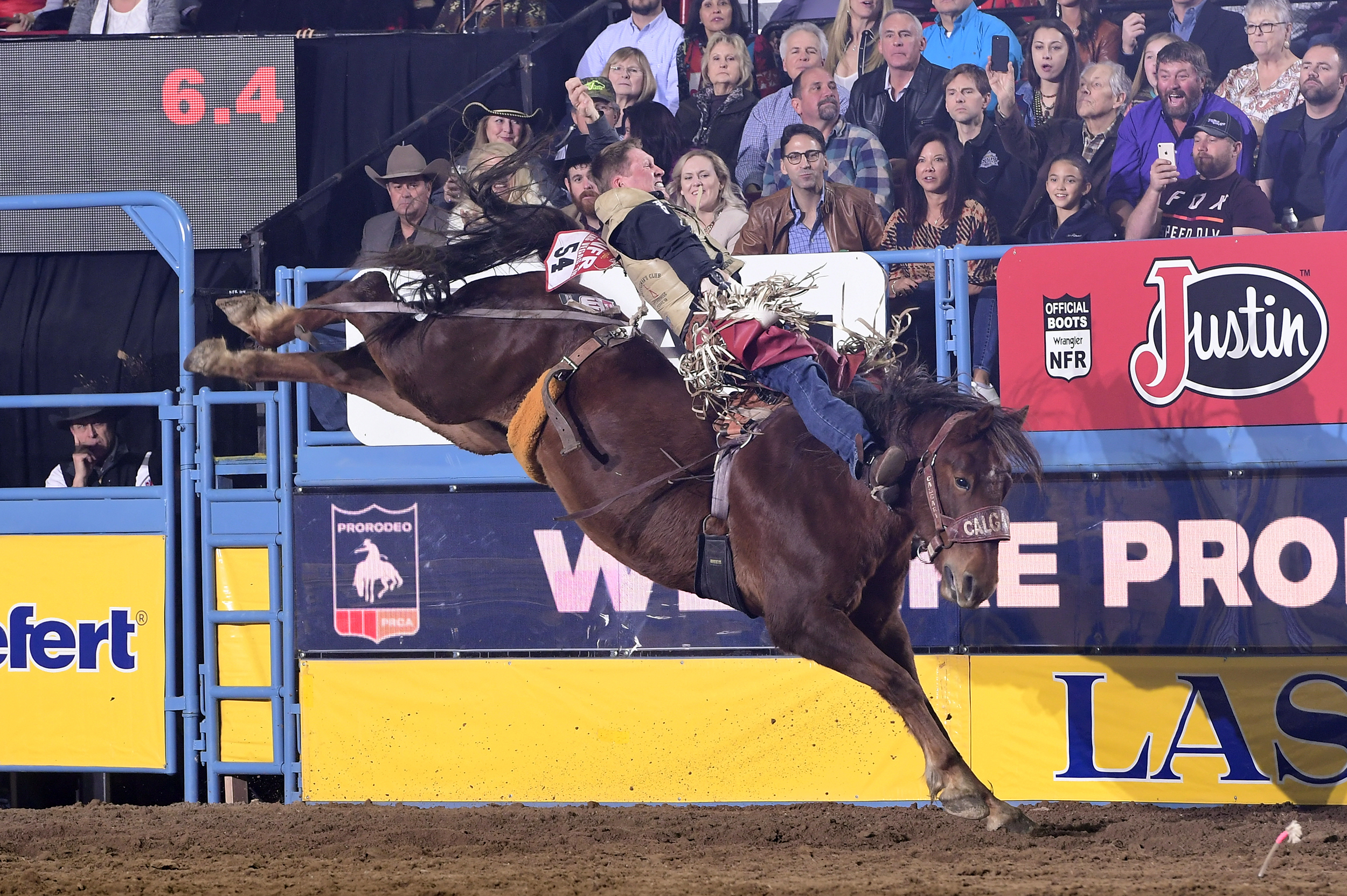 Ty Breuer won nearly $90,000 while competing at just 27 rodeos in 2019 to qualify for the National Finals Rodeo for the fifth time in his career. (PHOTO BY JAMES PHIFER)