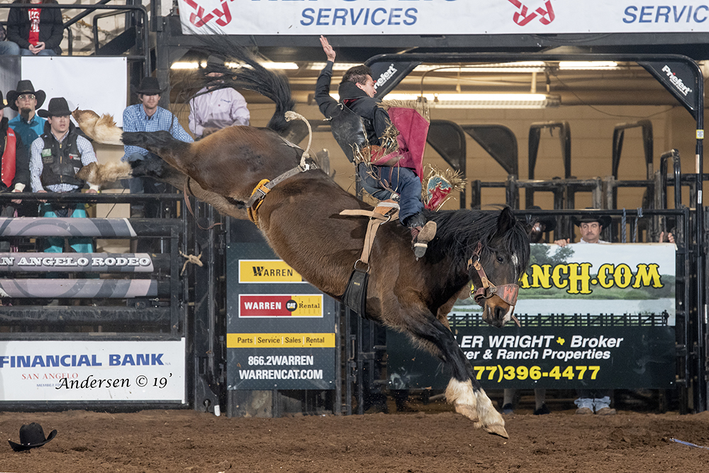 Caleb Bennett rides Northott Macza's Spilled Perfume for 93 points to win the championship round and the average title at the San Angelo Stock Show and Rodeo. (PHOTO BY RIC ANDERSEN)