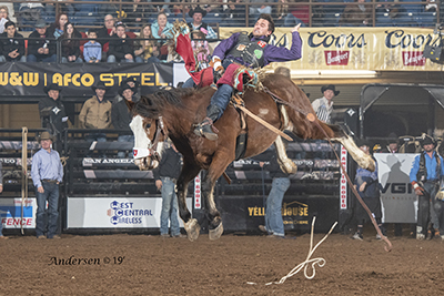 Caleb Bennett rides United Pro Rodeo's Pow Wow Rocks for 85.5 points on Friday night to move into second place in bareback riding in San Angelo. (PHOTO BY RIC ANDERSEN)