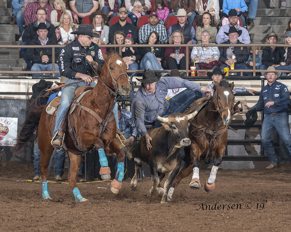 With Matt Reeves hazing, Jacob Edler transitions to his steer Saturday evening en route to a 4.2-second run at the San Angelo Stock Show and Rodeo. He is placing in both rounds, and his two-run cumulative time of 9.2 seconds leads the average. (PHOTO BY RICK ANDERSEN)