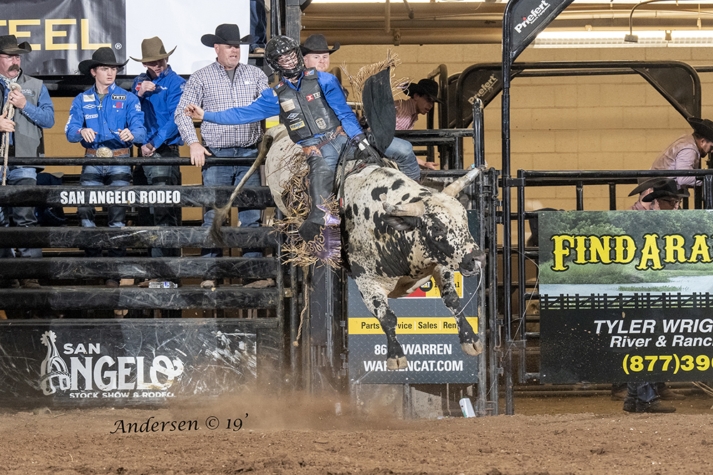 Stetson Wright rides United Pro Rodeo's Happy Days for 89 points to share the bull riding lead at the San Angelo Stock Show and Rodeo. (PHOTO BY RIC ANDERSEN)