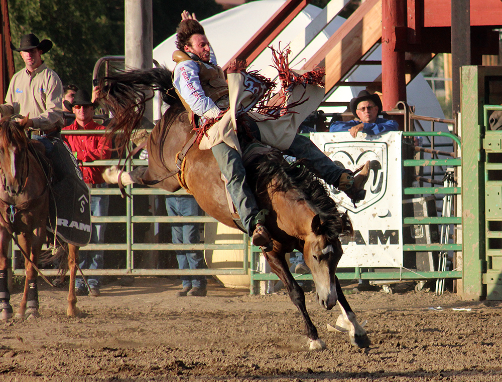 Nevada cowboy Cody Kiser is one of many contestants from all over the country who will likely be in Gunnison to chase the bigger purse available during this year’s Cattlemen’s Days PRCA Rodeo.