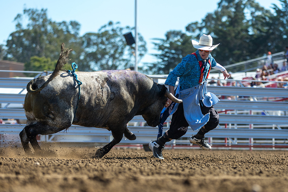 Nathan Harp has won the Bullfighters Only Wrangler Bullfight Tour stop at California Rodeo Salinas twice, picking up his second victory this last week. (PHOTO BY TODD BREWER)