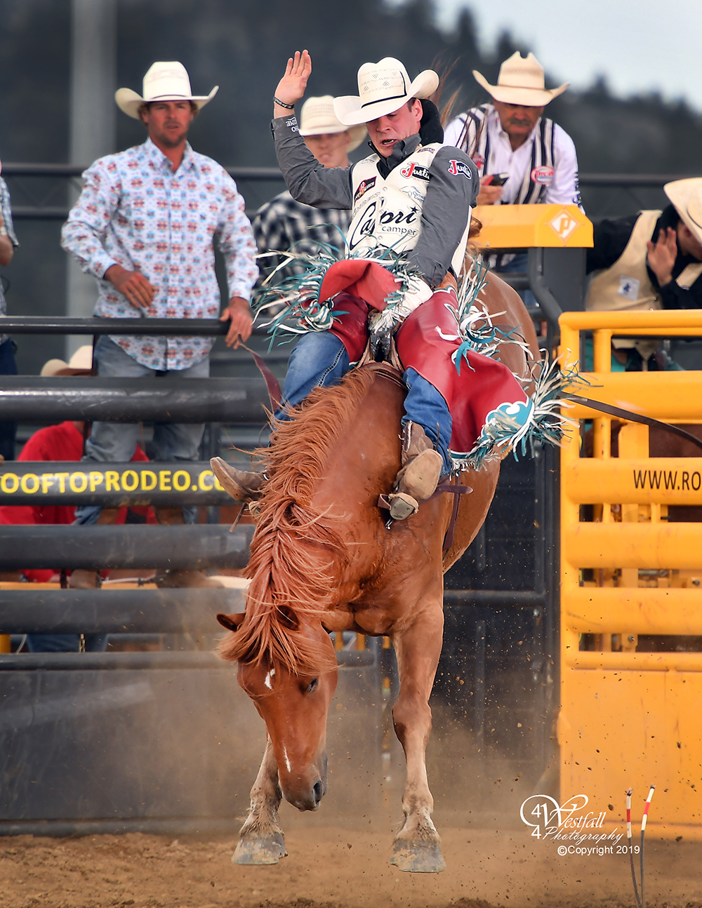 Tim O'Connell rides Cervi's San Luis for 87 points to take the bareback riding lead at the Rooftop Rodeo. (PHOTO BY GREG WESTFALL)