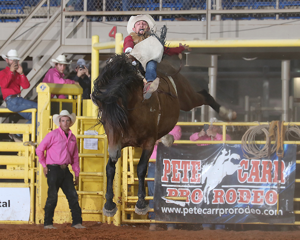 Garrett Shadbolt rides Pete Carr Pro Rodeo’s Scarlet’s Web for 86 points on Thursday night to take the bareback riding lead at the Lea County Fair and Rodeo. (PHOTO BY PEGGY GANDER)