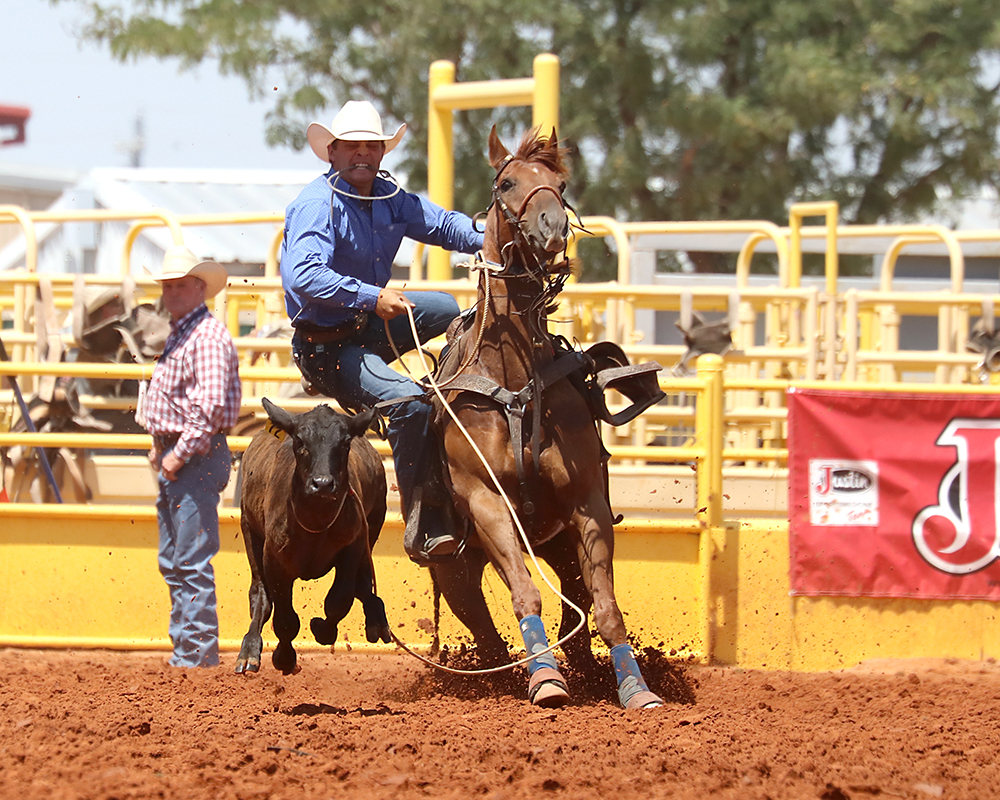 Tie-down roper Chance Oftedahl has the aggregate lead after roping two calves in a cumulative time of 18.1 seconds. Oftedahl is riding a nice run into this week of rodeos, and his times in Lovington give the Minnesota cowboy a chance to cash in already. (PHOTO BY PEGGY GANDER)