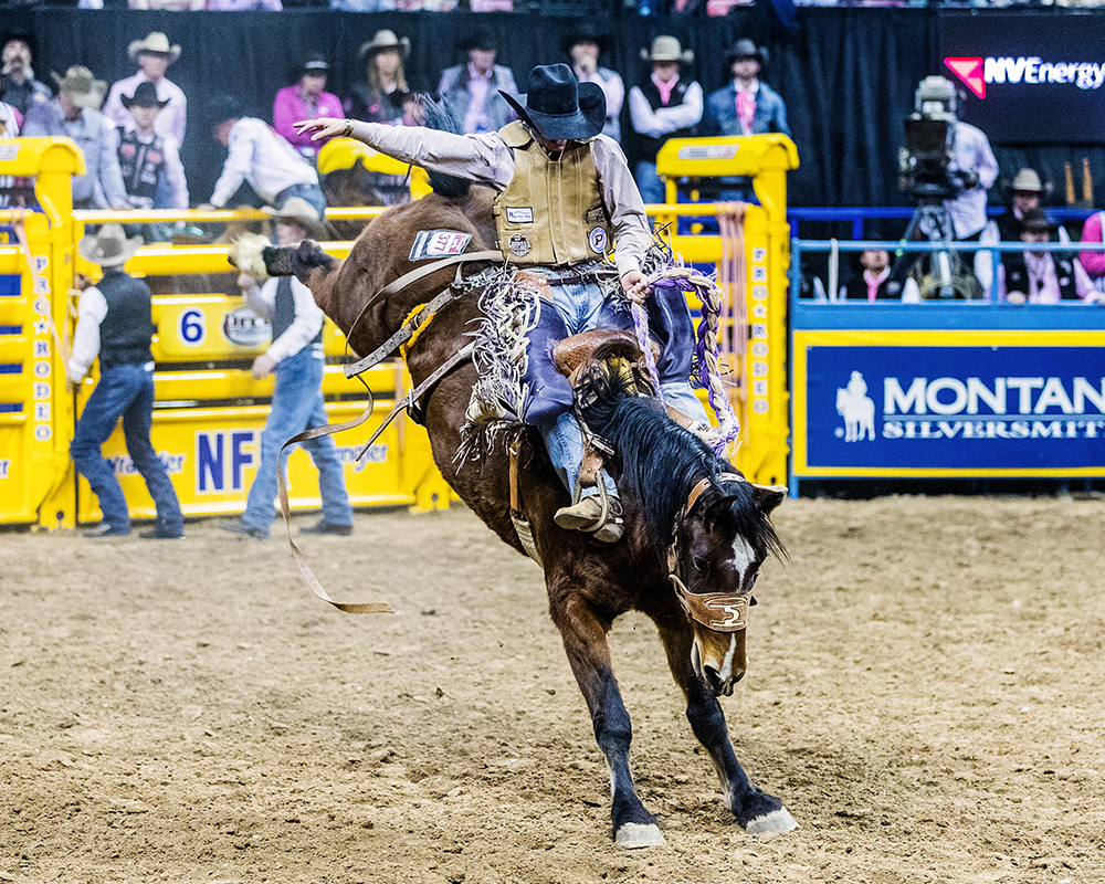 Hardy Braden heads into the final few weeks of the Prairie Circuit standings as the No. 1 man in the saddle bronc riding standings. (PHOTO BY TODD BREWER)