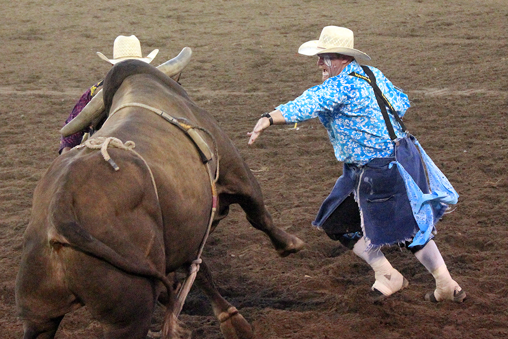 Wacey Munsell will work with Wayne Ratley as the two bullfighters hired to protect the cowboys during bull riding at the Chisholm Trail Ram Prairie Circuit Finals Rodeo.