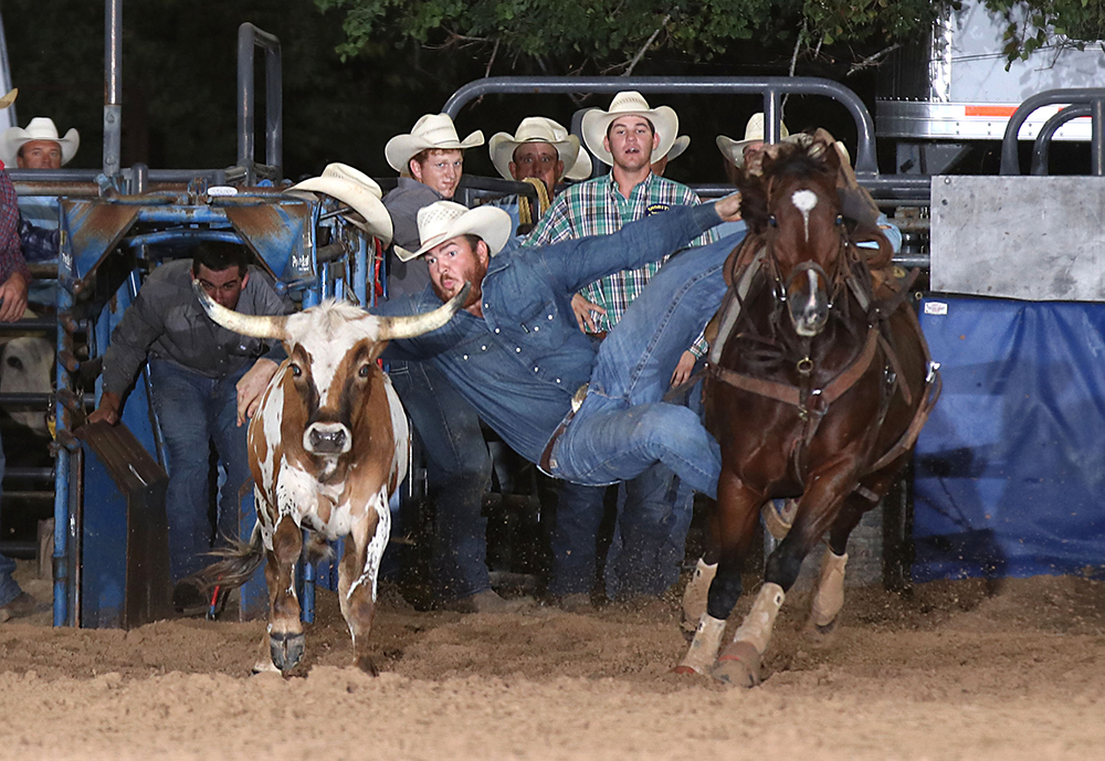 Jacob Edler stopped the clock in 3.7 seconds to share the steer wrestling lead at the Austin County Fair's Rodeo in Bellville, Texas. (PHOTO BY PEGGY GANDER)