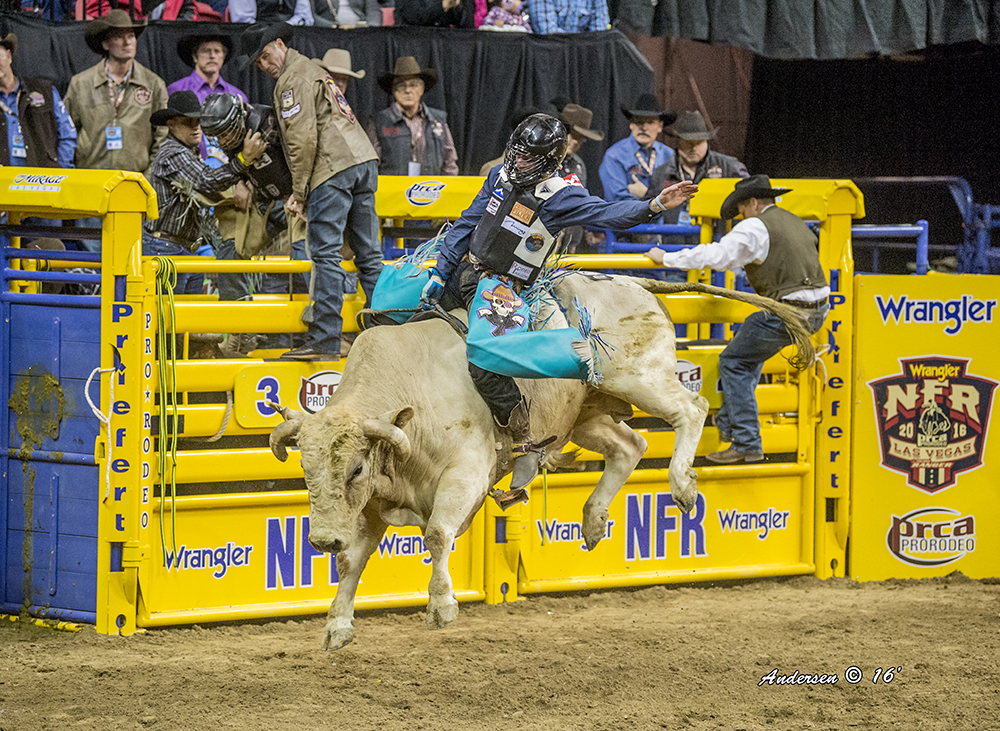 Garrett Smith missed the National Finals Rodeo a year ago, and he's excited to be making it back to ProRodeo's grand championship, which begins next week. (PHOTO BY RIC ANDERSEN)