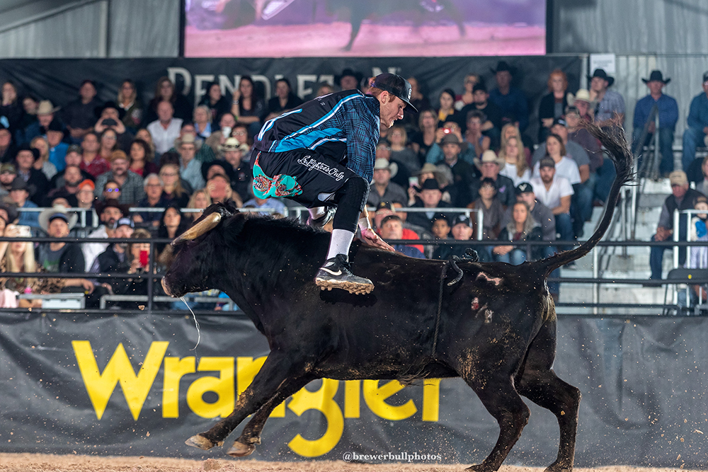 Chase Blythe was 85.5 points during his bullfight Sunday afternoon to win the Bullfighters Only Qualifier Seeding Round. He will face Anthony Morse in the Las Vegas Championship Quarterfinal Round. (PHOTO BY TODD BREWER)