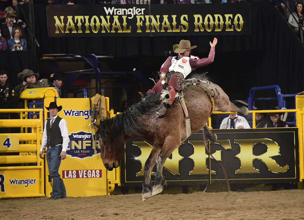 Clayton Biglow rides Cervi's Ainit No Angel for 90.5 points to finish second in the opening round of the 2019 National Finals Rodeo. (PRCA PHOTO BY JAMES PHIFER)