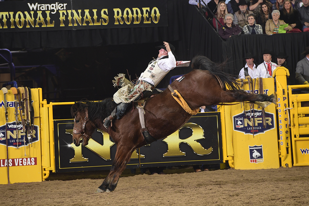 Richmond Champion rides Hi Lo ProRodeo's Wilson Sanchez for 87.5 points to finish in a tie for fourth place in Wednesday's seventh round of the National Finals Rodeo. (PRCA PRORODEO PHOTO BY JAMES PHIFER)