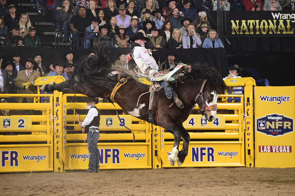 Richmond Champion has his sights set on the world championship as he enters his sixth National Finals Rodeo. (PRCA PRORODEO PHOTO BY JAMES PHIFER)