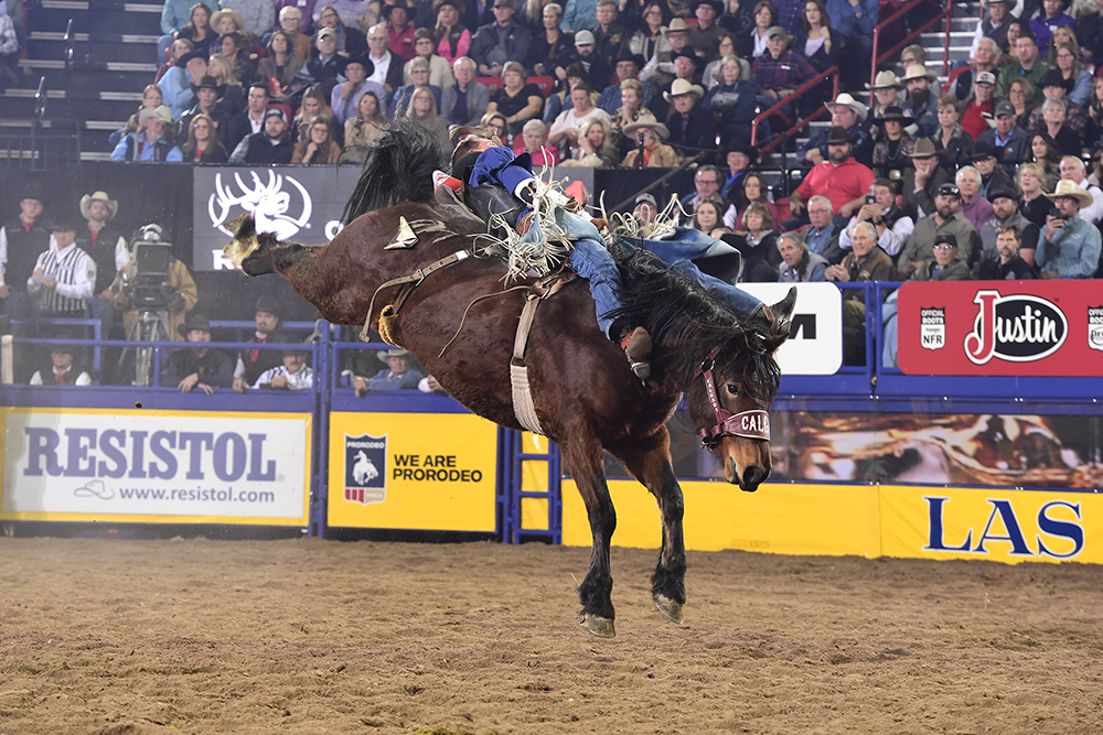 Orin Larsen rides Calgary Stampede's Arbitrator Joe for 87.5 points to place for the fourth time at the National Finals Rodeo. (PRCA PHOTO BY JAMES PHIFER)
