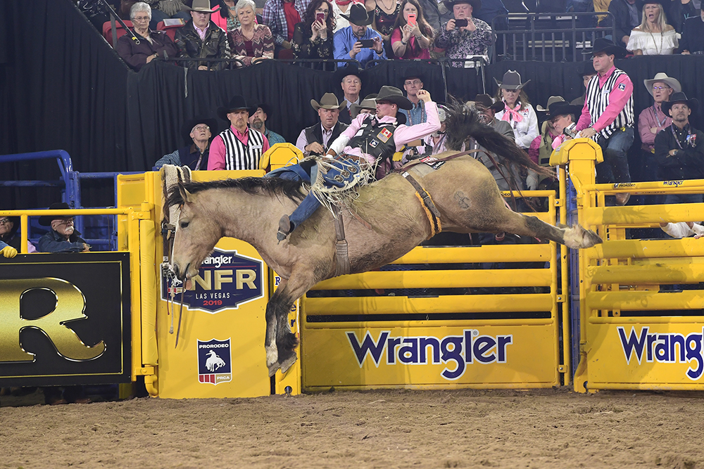 Orin Larsen rides Frontier Rodeo's Gun Fire for 91 points to finish third in Monday's fifth round of the National Finals Rodeo. (PRCA PRORODEO PHOTO BY JAMES PHIFER)