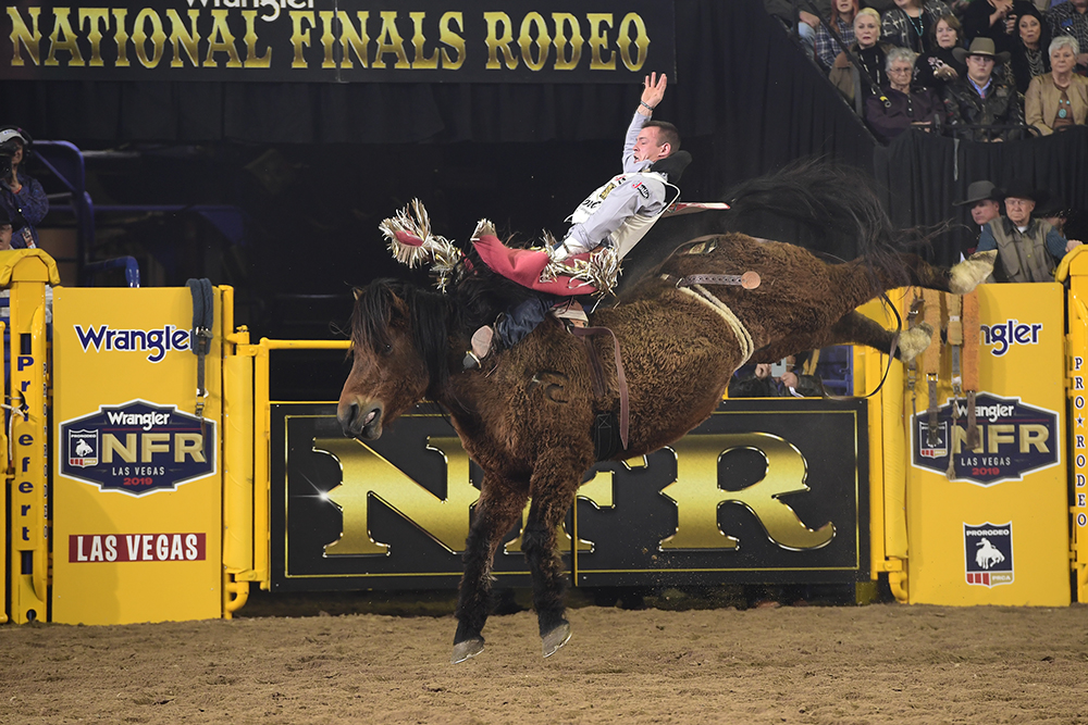 Tim O'Connell rides Pete Carr's Scarlet's Web for 88 points to finish fourth in Tuesday's sixth round of the National Finals Rodeo. (PRCA PRORODEO PHOTO BY JAMES PHIFER)