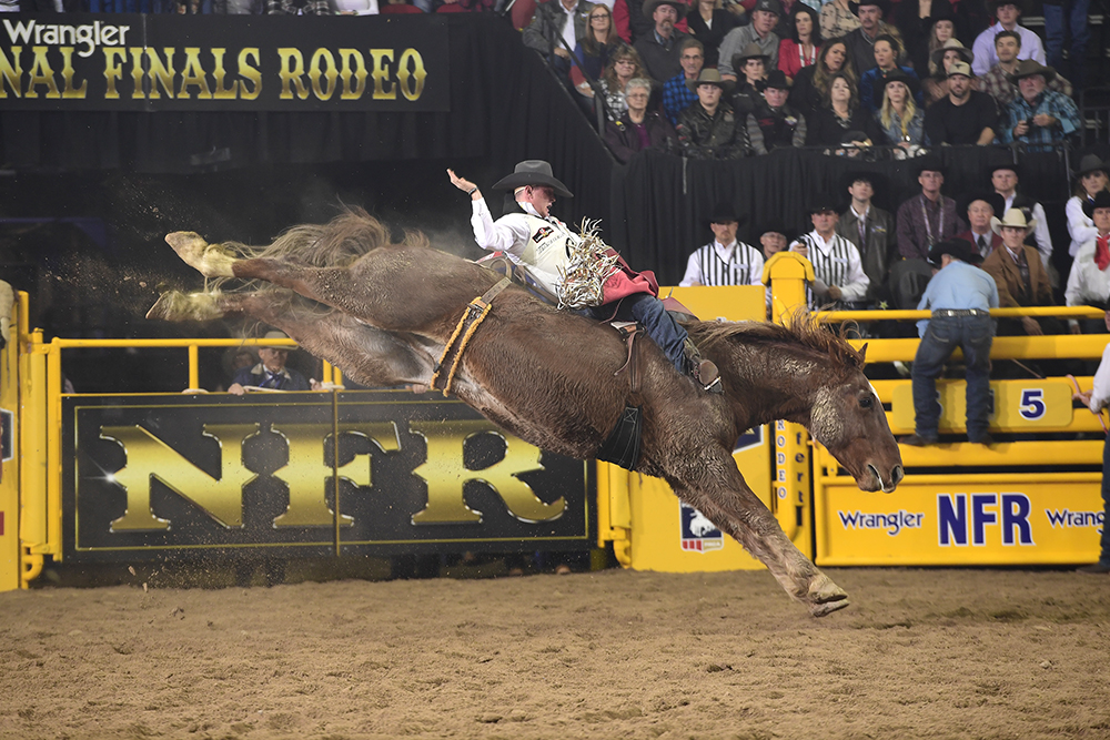Seven-time National Finals Rodeo qualifier Tim O'Connell will battle for his fourth bareback riding world title in five years at this year's finale. (PRCA PRORODEO PHOTO BY JAMES PHIFER)