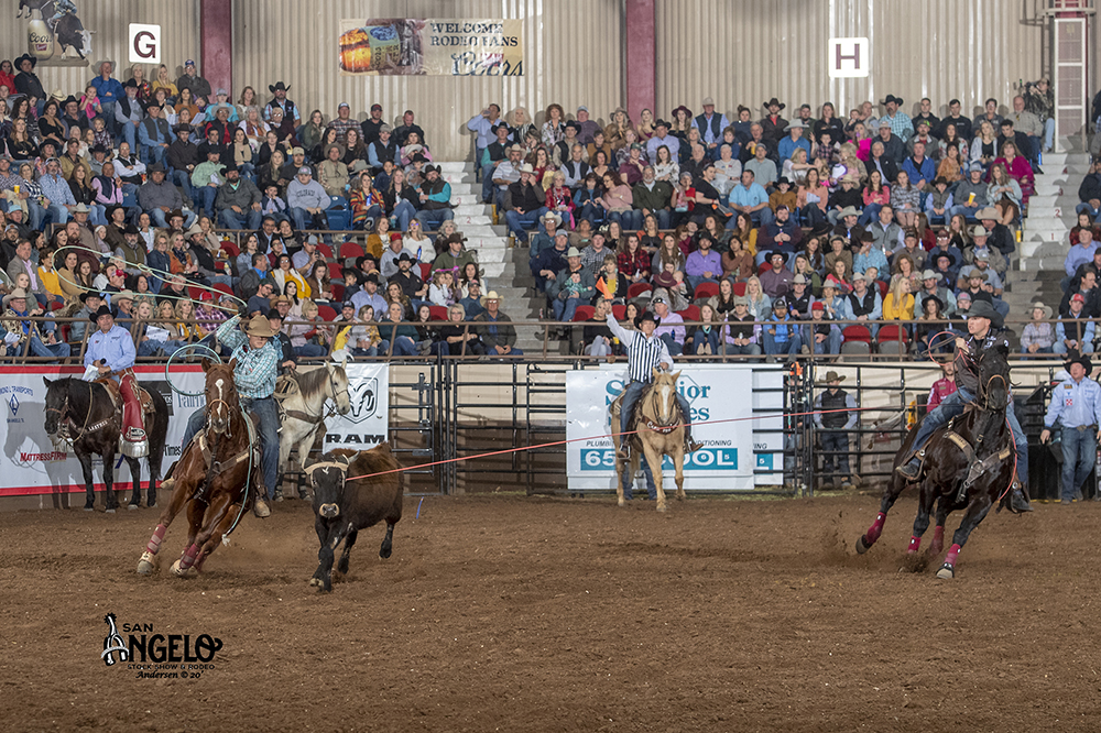 Kolton Schmidt, right, prepares to turn his steer Saturday night in order for his heeler, Hunter Koch, to make a clean catch. The two share the team roping lead at the San Angelo Stock Show and Rodeo. (PHOTO BY RIC ANDERSEN)