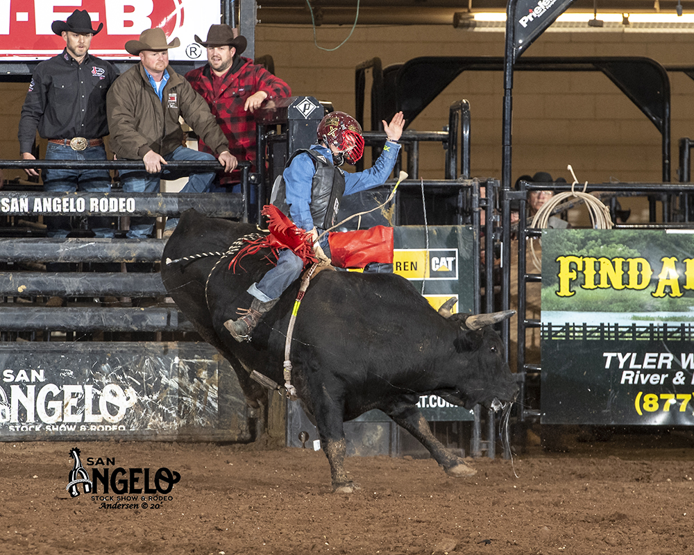 Matt Palmer rides Lancaster & Jones Pro Rodeo's Warning Signs for 81 points Wednesday at the San Angelo Stock Show and Rodeo. (PHOTO BY RIC ANDERSEN)