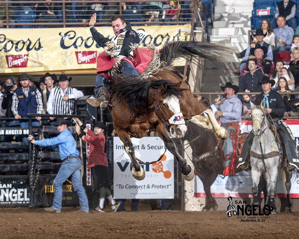 Three-time world champion Tim O’Connell rides United Pro Rodeo’s Pow Wow Rocks for 86 points Friday night to move into second place in bareback riding at the San Angelo Stock Show and Rodeo. (PHOTO BY RIC ANDERSEN)