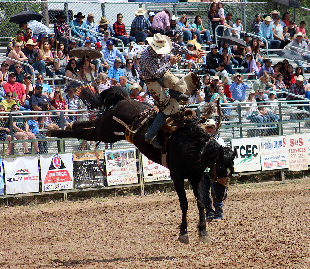 Frontier Rodeo's Wild Bill throws off Oklahoma Panhandle State cowboy Cooper Thatcher during last year's Guymon Pioneer Days Rodeo. Frontier has been recognized for having many of the best animals in ProRodeo.