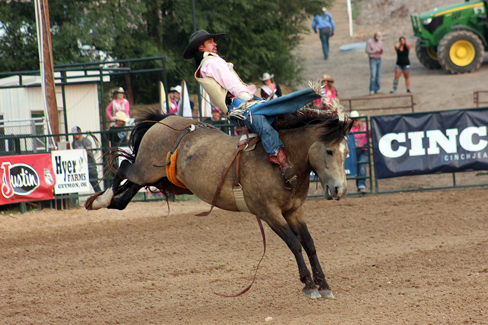 Tray Chambliss III rides Frontier Rodeo's Night Fist for 87 points to take the bareback riding lead during Friday's first performance of the Guymon Pioneer Days Rodeo.
