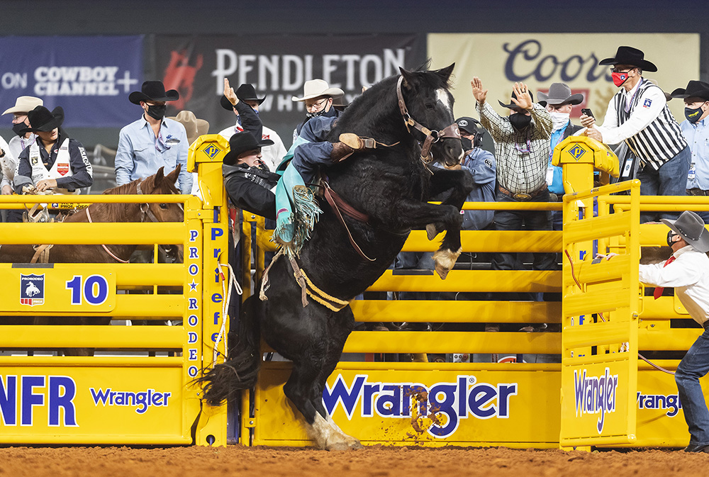 Jess Pope hangs on tight as C5 Rodeo's Black Eye rears out of the chute during Saturday's third go-round of the National Finals Rodeo. (PHOTO BY JAMES PHIFER)