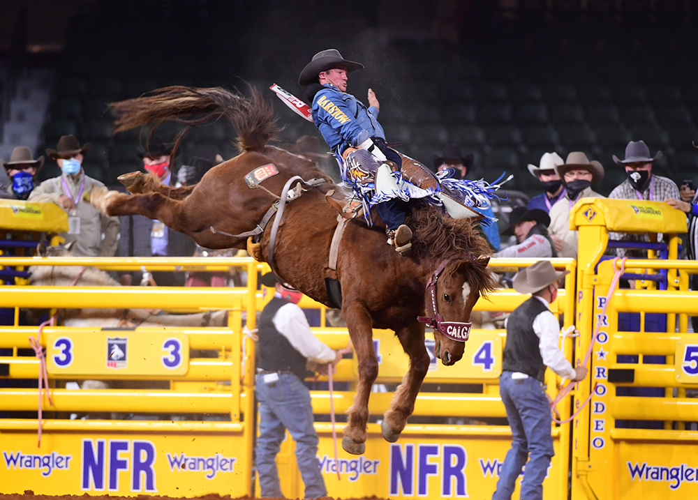 Chad Rutherford rides Calgary Stampede's Agent Lynx for 84.5 points to finish sixth during the first round of his first National Finals Rodeo. (PHOTO BY JAMES PHIFER)